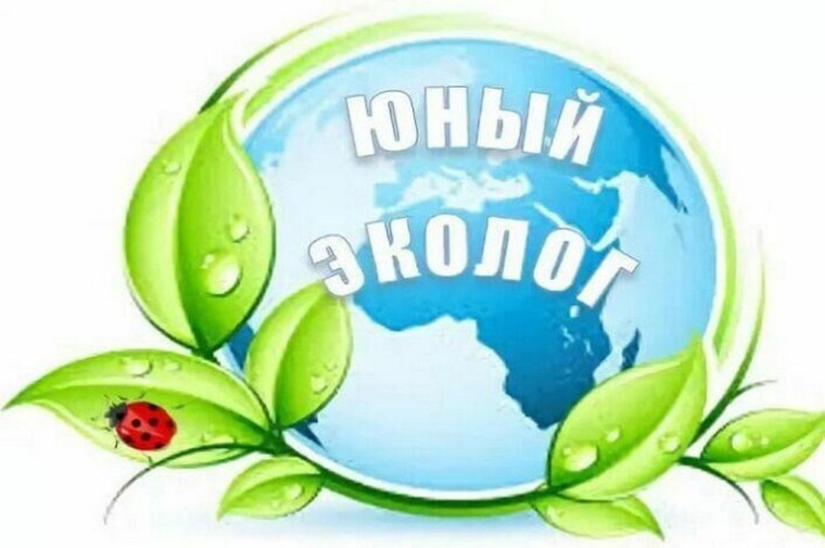 4 день. Лагерь "Юный эколог". Корпус 2.